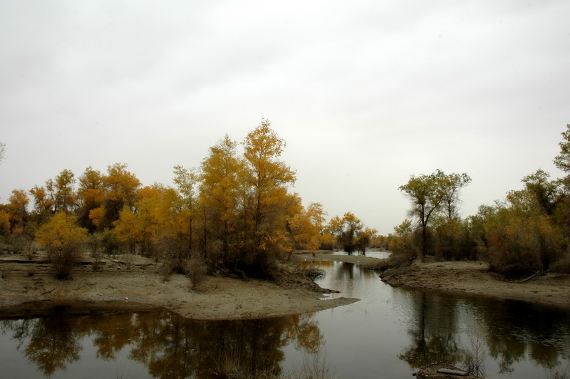 DSC_2407_������С.JPG