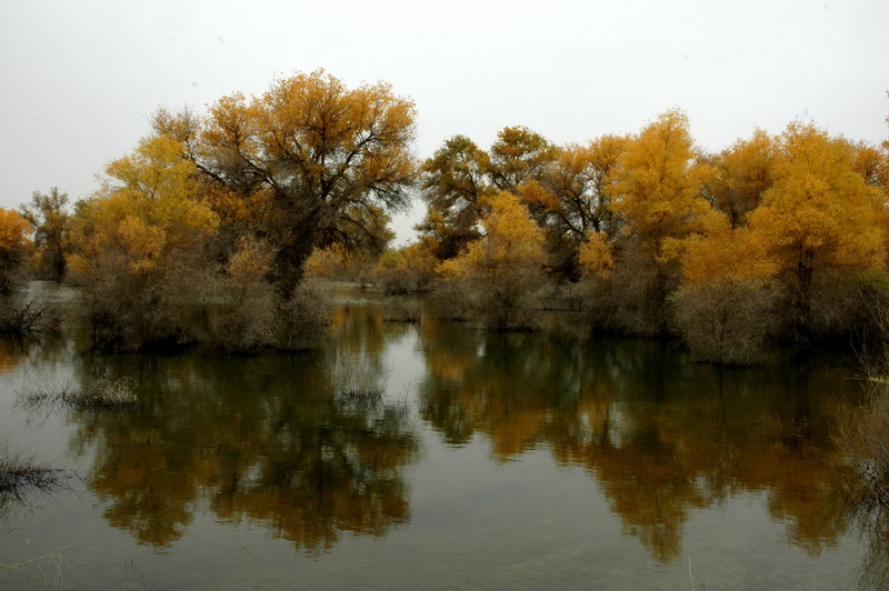 DSC_2410_������С.JPG