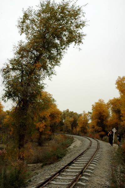 DSC_2426_������С.JPG