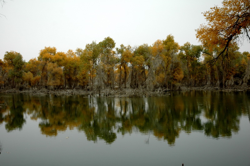 DSC_2445_������С.jpg