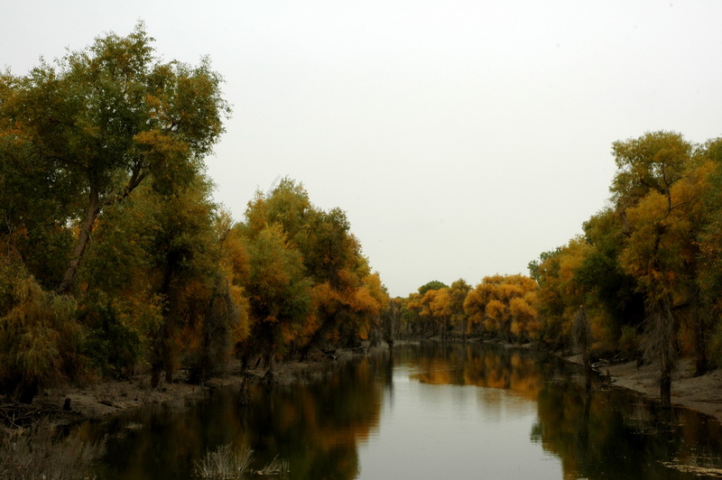 DSC_2422_������С.JPG