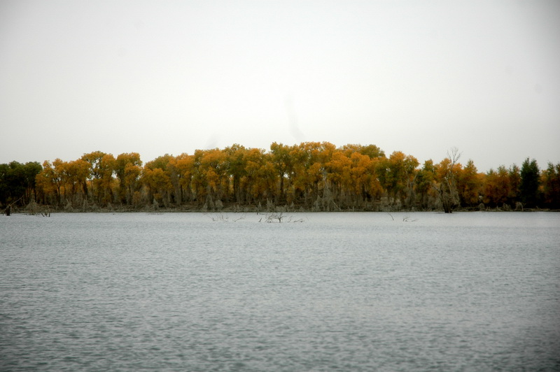 DSC_2463_������С.JPG
