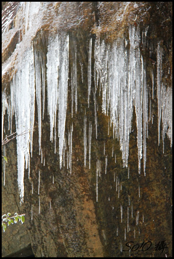 conew_img_7858.jpg