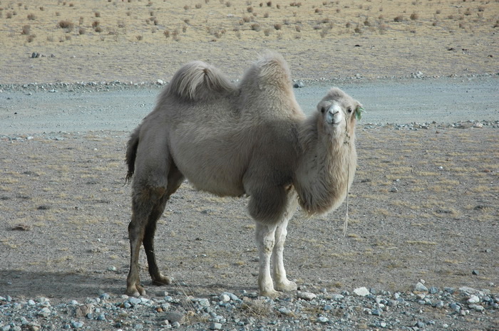 DSC_3521_������С.jpg