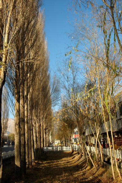 DSC_3703_������С.jpg