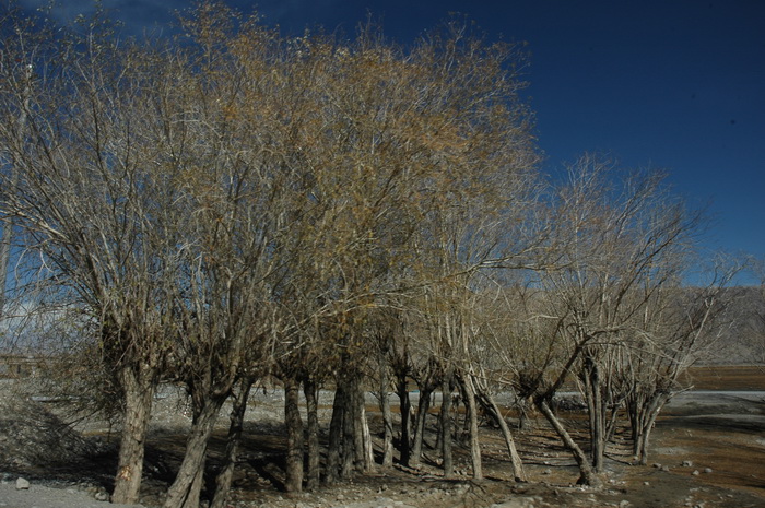 DSC_3976_������С.JPG