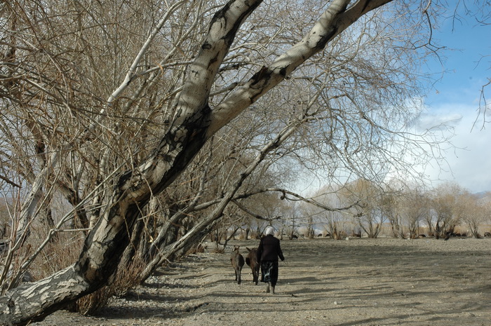 DSC_4269_������С.JPG