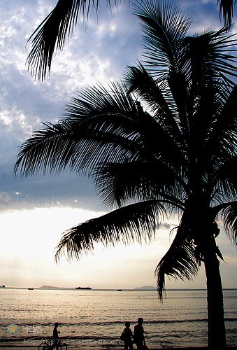 242_DSC__3360__��Ӱ__1.jpg