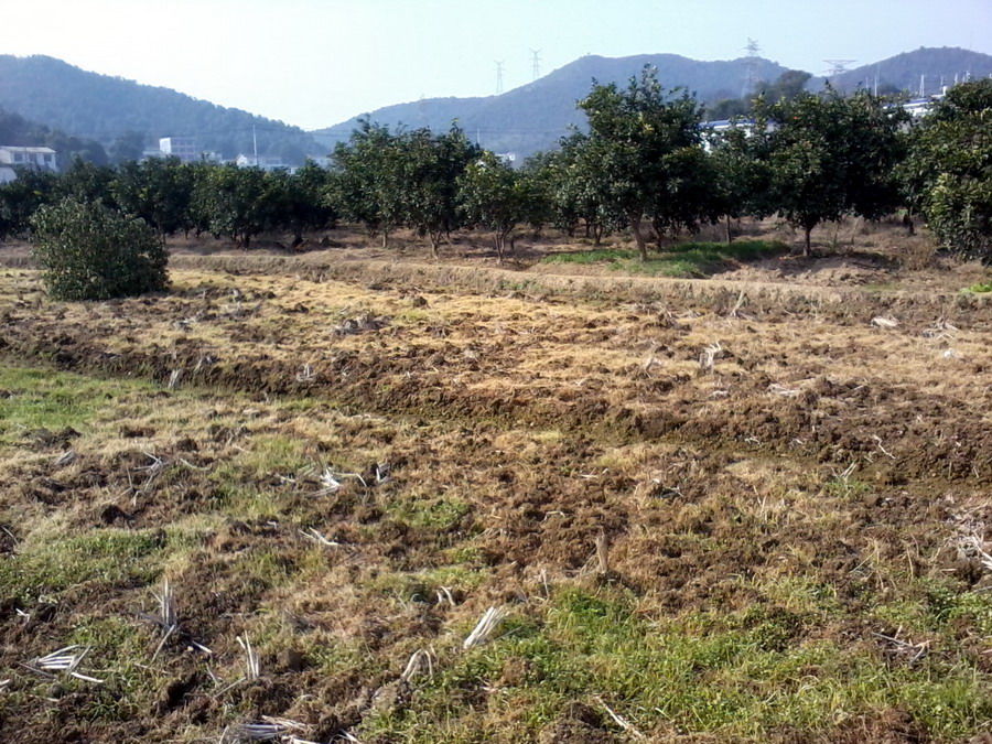 ��Ƭ0908.jpg