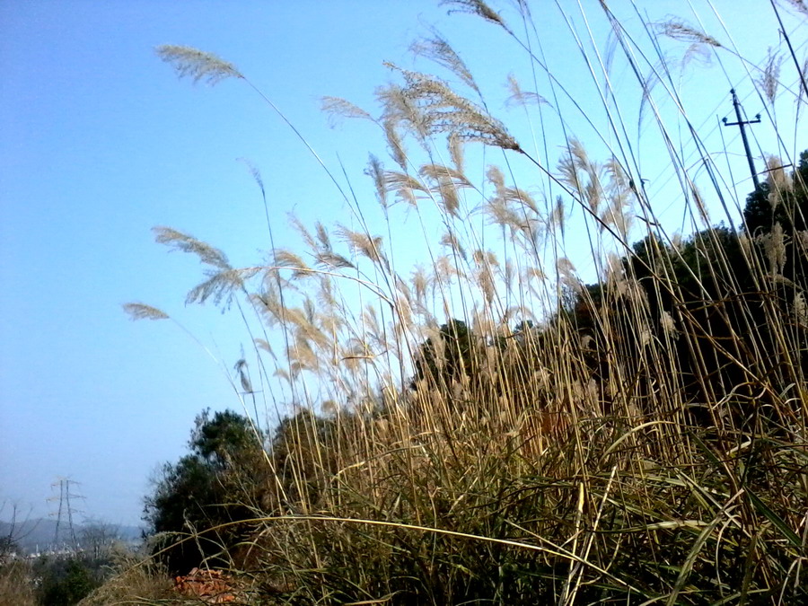 ��Ƭ0912.jpg