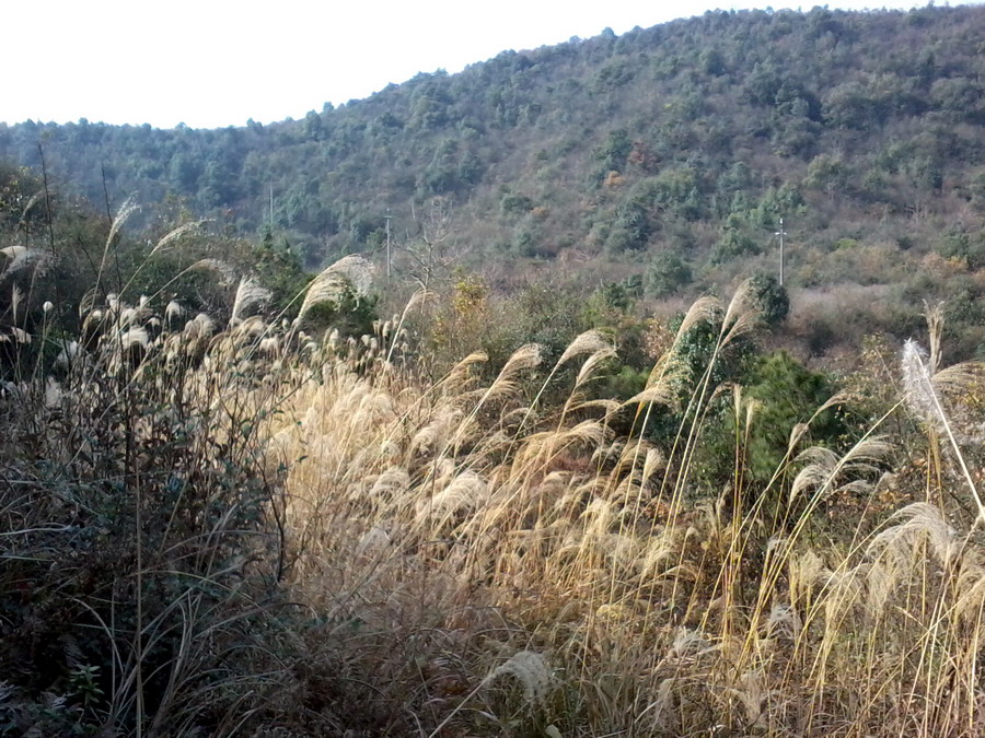 ��Ƭ0914.jpg