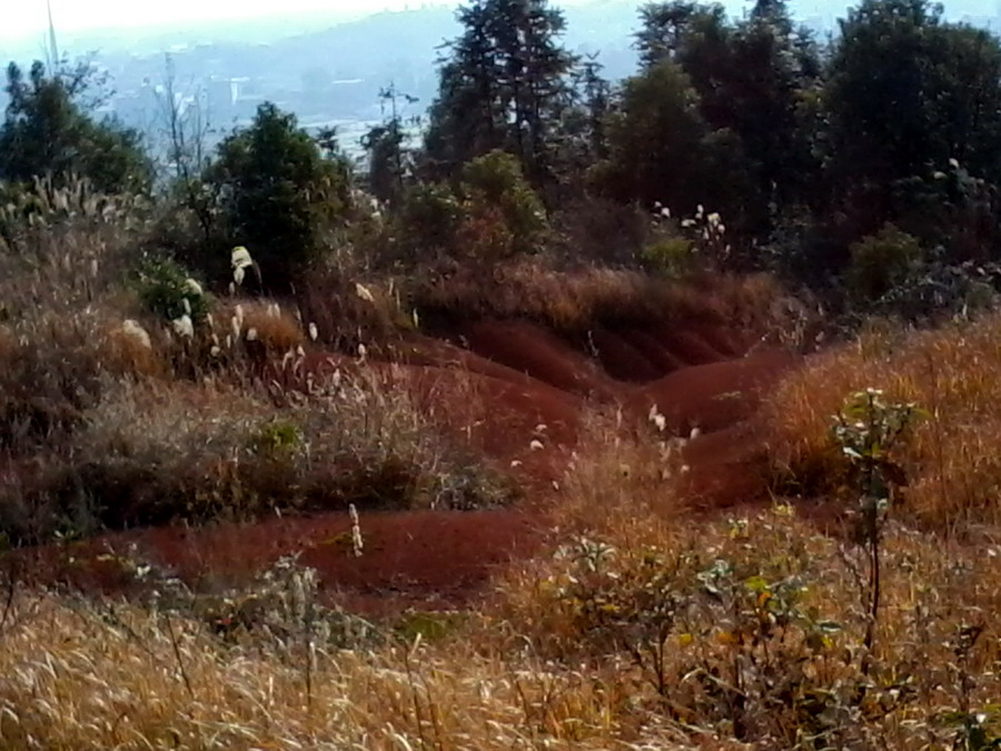 ��Ƭ0923.jpg