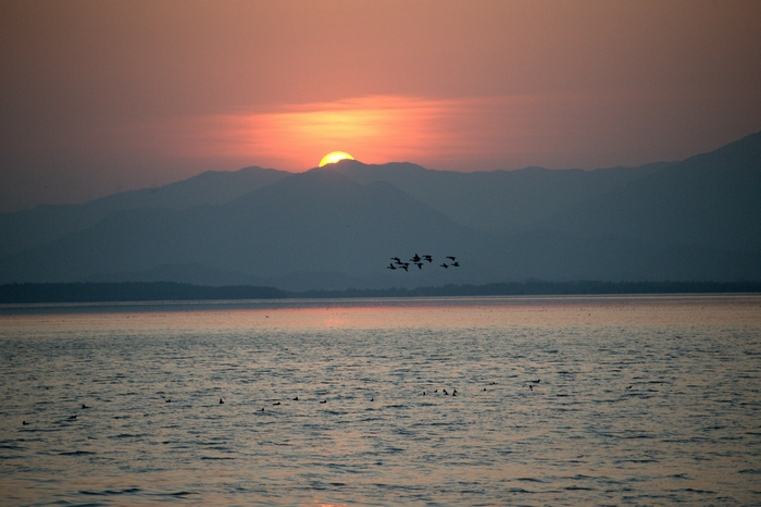 DSC_3371.jpg