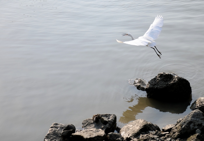 DSC_0980.JPG
