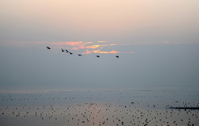 DSC_3684.JPG