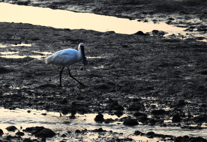 DSC_3750.JPG