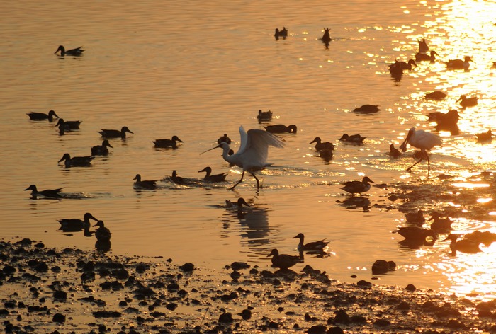 DSC_3718.JPG
