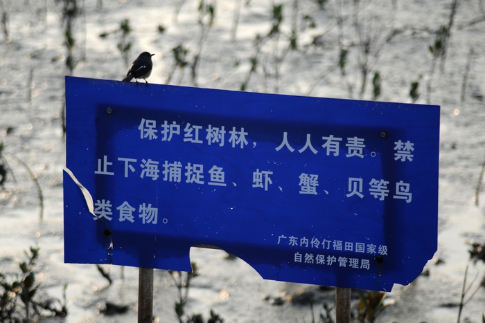 DSC_3788.JPG
