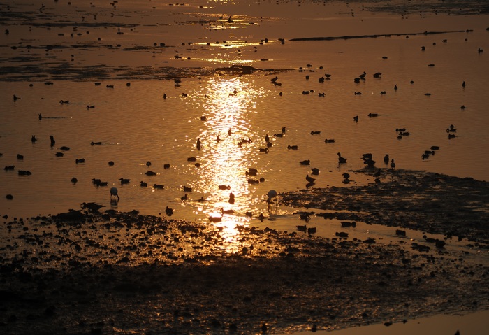 DSC_3729.JPG