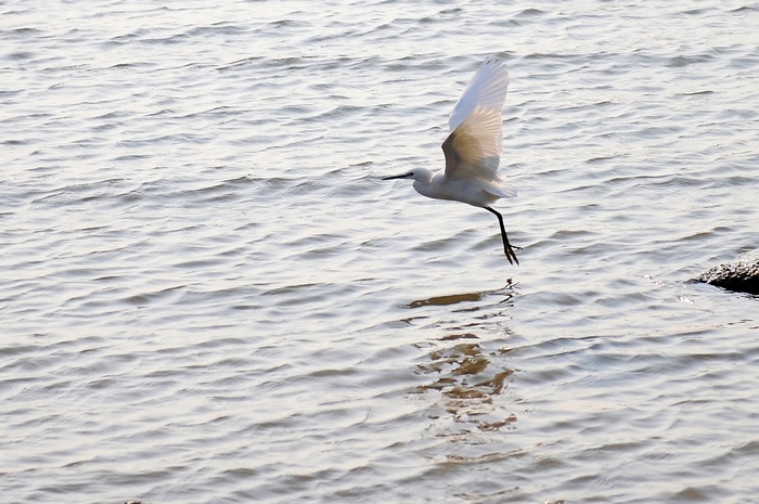 DSC_0965.JPG