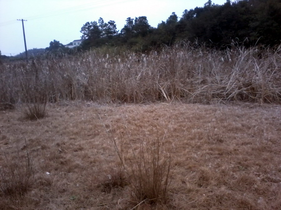 ��Ƭ1043.jpg