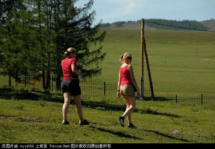 nEO_IMG_6762974[1].jpg