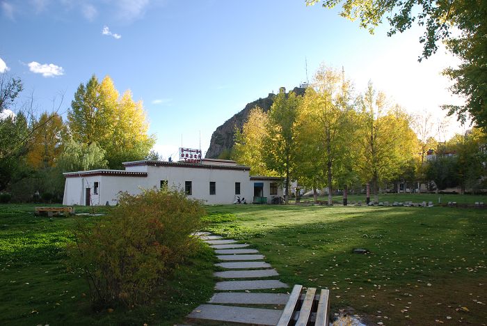 DSC_0981.JPG