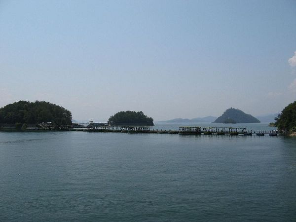 IMG_3223.JPG