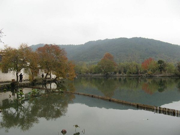 IMG_4243.JPG