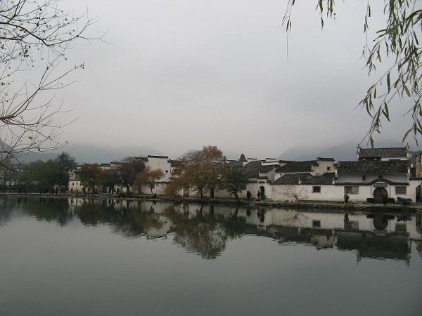IMG_4239.JPG