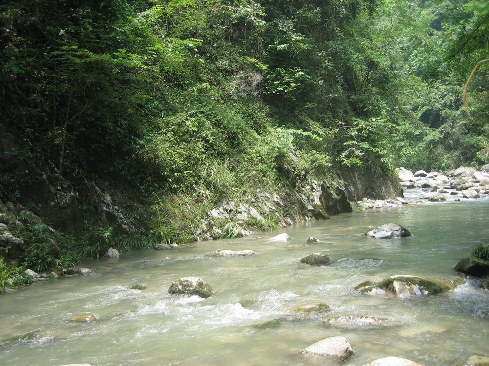 2007650415361039.jpg