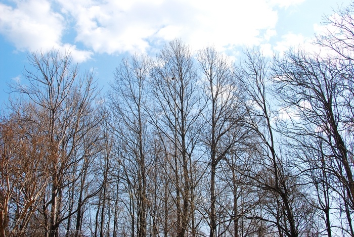 050_DSC__3722__��Ӱ__1.jpg