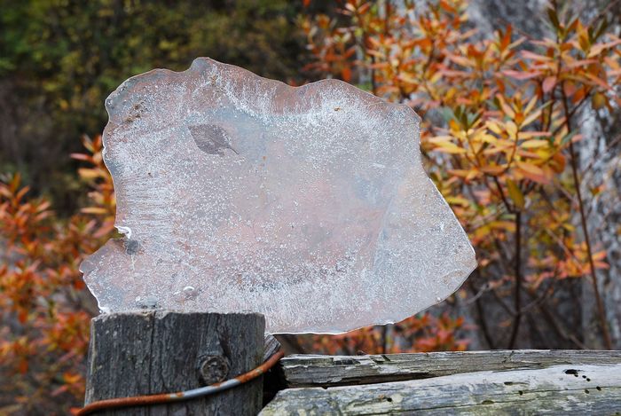 nEO_IMG_DSC_0144.jpg