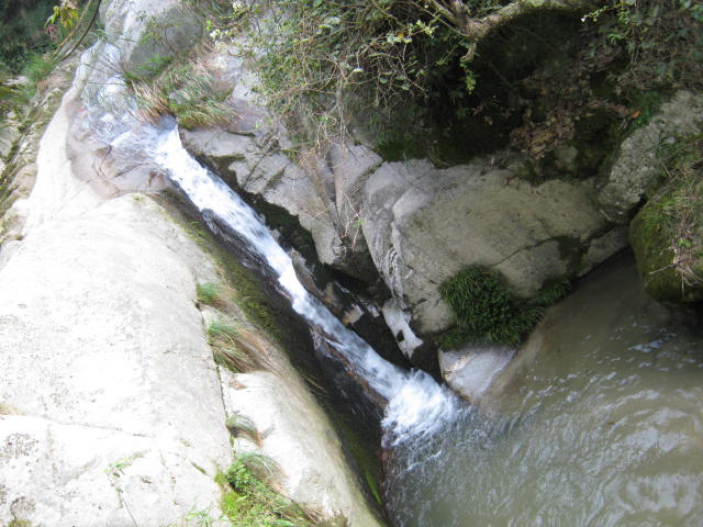 IMG_1075.JPG