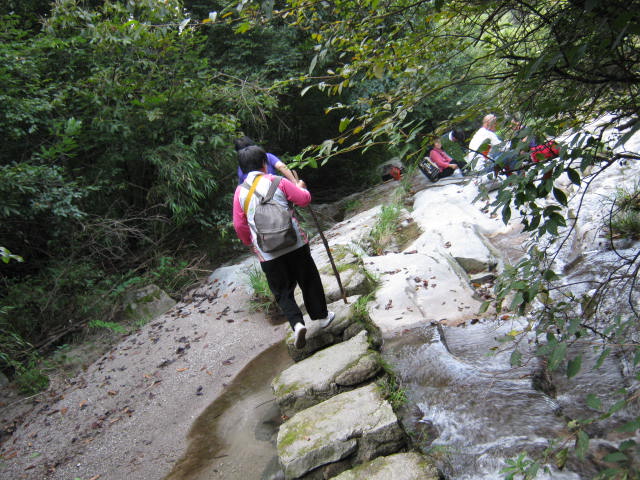 IMG_1077.JPG