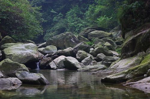 IMGP1074.jpg