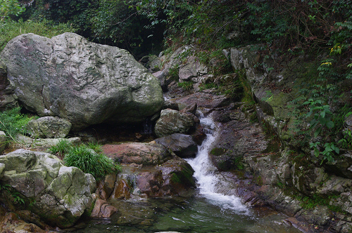 IMGP1090.jpg