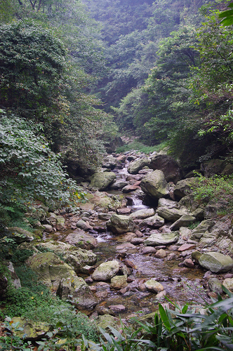 IMGP1086.jpg