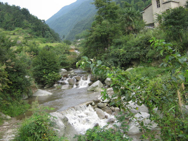 IMG_1119.JPG