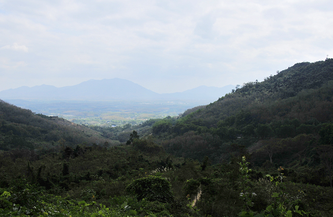 _DSC9885.jpg