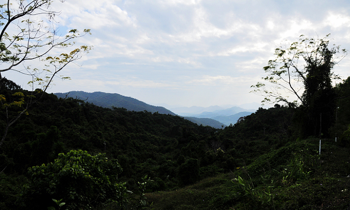 _DSC9918.jpg