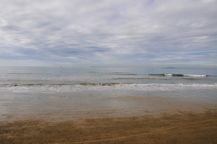 _DSC0050.jpg