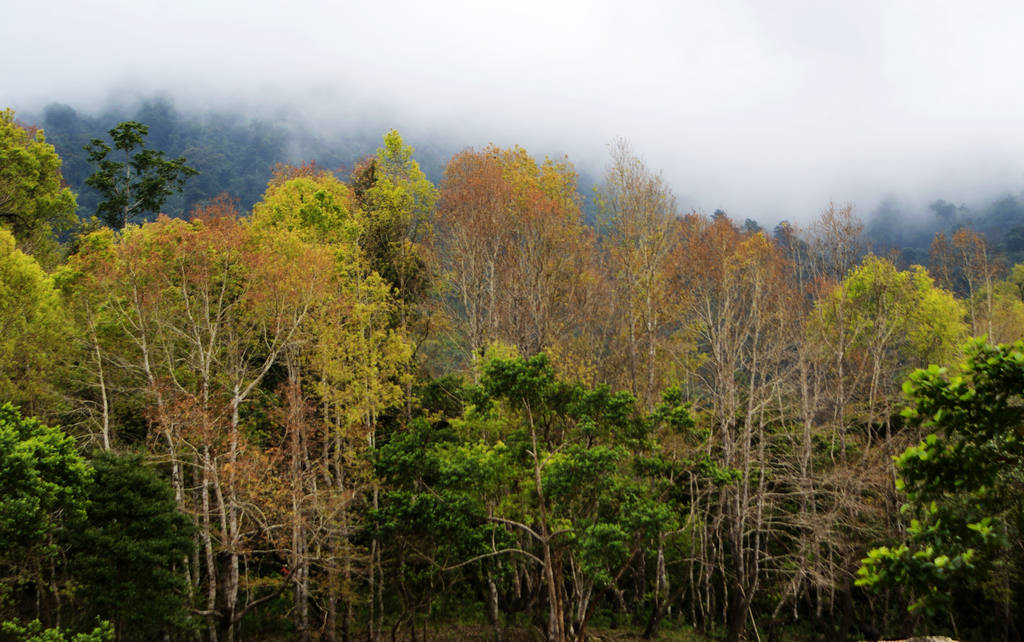 DSC01175.jpg