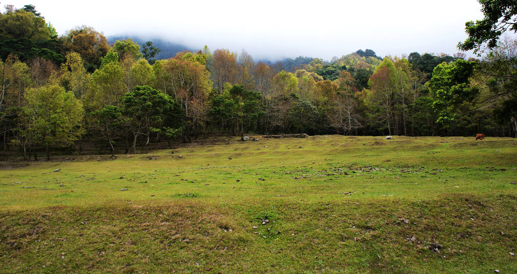 DSC01179.jpg