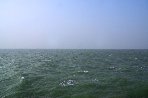 DSC00010a.jpg
