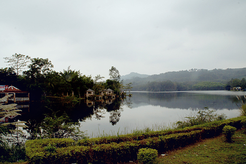 DSC00111.jpg