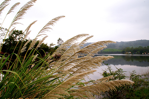 DSC00114.jpg