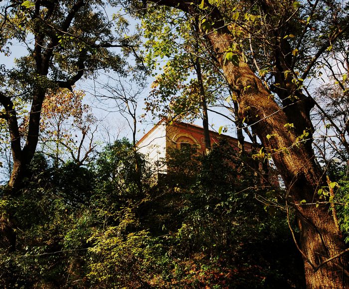 nEO_IMG_DSC_0090.jpg