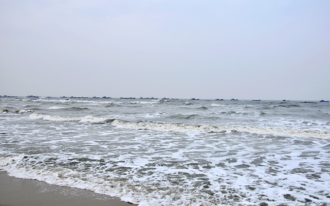 _DSC0110.jpg