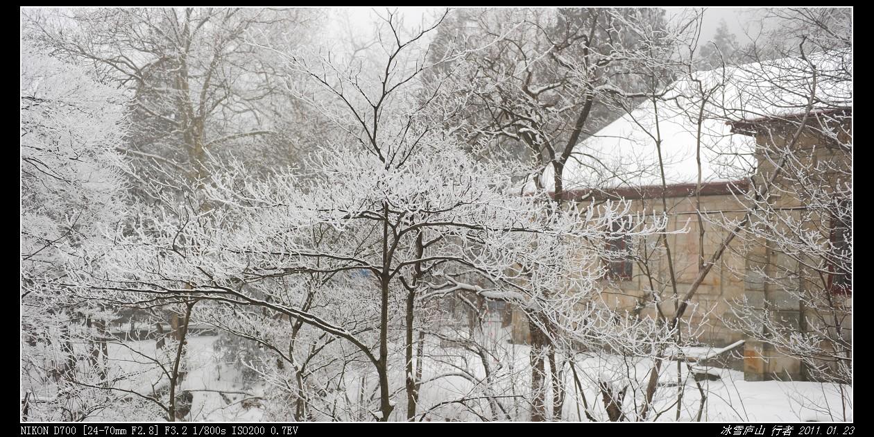 DSC_8735.jpg